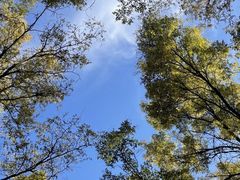 -森林公园(尖草坪区)