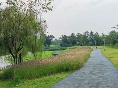 -两河城市森林公园