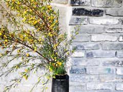 -驿舍·民國老营房院子私房菜(白市驿店)