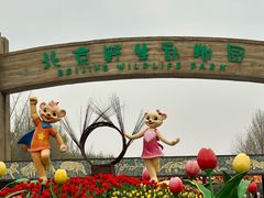 -北京野生动物园
