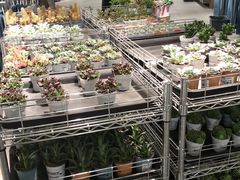 -鹿岛会员店 (龙湖三千集天街店)