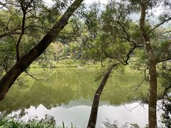 -深圳仙湖植物园