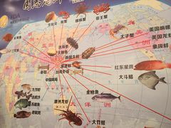-国惠大酒楼(宝龙店)