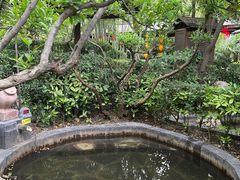 -西安国际创新人才交流中心•药浴温泉
