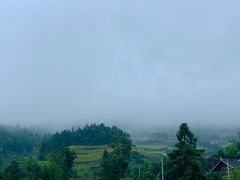 -紫鹊界梯田景区
