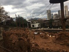 -昆明动物园