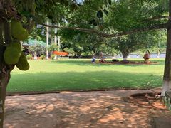 -侯臣咖啡文化村