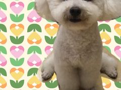 -熊小胖宠物生活馆(天华园店)