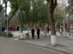 -水果湖儿童公园