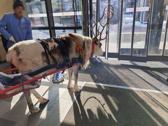 -王府井奥莱棋盘山小镇