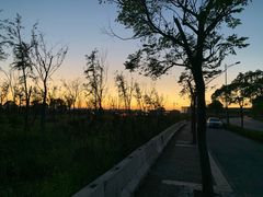 -南汇新城海滩