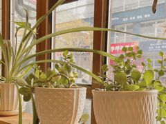 -Cafe Alice咖啡爱丽丝(奥城店)