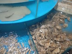 -咱家大院海鲜家常菜