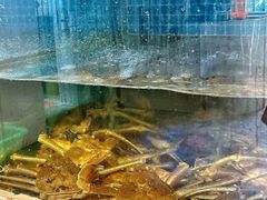 -碗中海·蒸汽海鲜·桑拿鸡(岭南天地店)