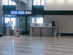 -米兰马尔彭萨国际机场