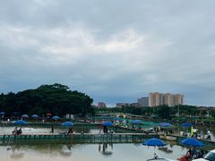 -海上田园