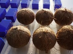 -蔻蔻椰·鲜萃椰子水(欢乐港湾店)