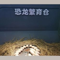 -恐龙探索乐园(磁器口店)