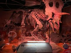 -正佳自然科学博物馆