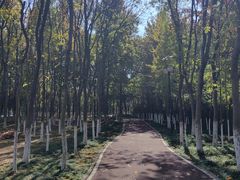 -艾溪湖湿地公园