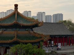 -曹州牡丹园