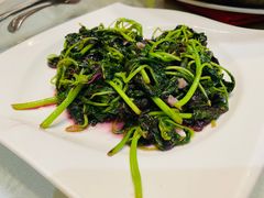 -新聚丰菜馆(太监弄店)