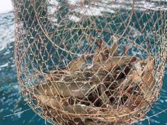 -SHRIMP CLUB万东餐饮钓虾·清吧