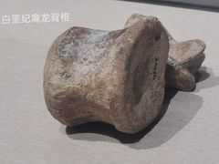 -浙江自然博物院(杭州馆)