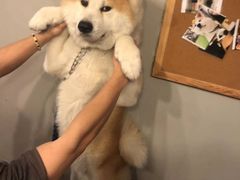 -YCHL Studios健身工作室(市二宫店)