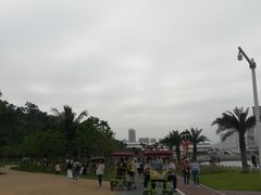 -野狸岛