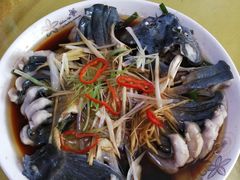 -煲来饱去冷水鱼