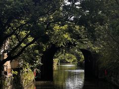 -广富林郊野公园