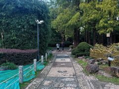 -中山公园