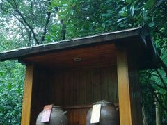 -常州环球恐龙城维景国际大酒店