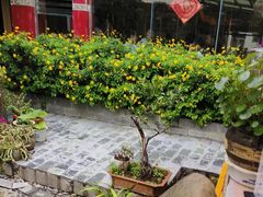 -尼玛藏家风味园(阿山食城店)