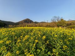 -八卦田遗址公园