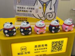 -瑞鹏宠物医院·骨外科·心肾科·肿瘤科(九亭店)
