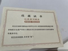 鲤鱼身份证-阿五黄河大鲤鱼(海尚店)