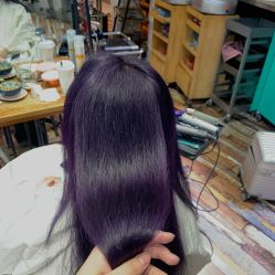 -IDOL-PLUS