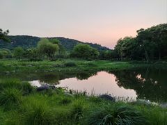 -长广溪湿地公园