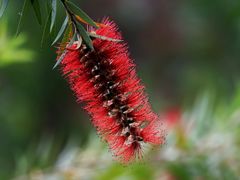 -上海吴淞炮台湾国家湿地公园