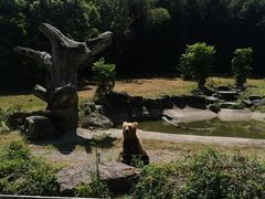 -宁波野生动物园
