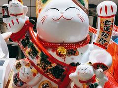 -蔡大胖炸洋芋(攀枝花华芝万象城店)