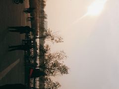 -绿堤公园