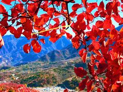 -水峪民俗村