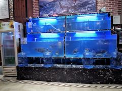 水产区-姜君·千岛湖鱼头馆(浦东大道店)