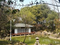 -新洲生态园