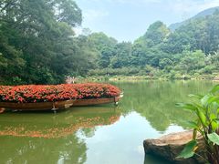 -深圳仙湖植物园