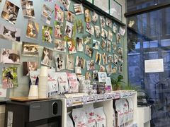 -爱妮康宠物医院·干细胞免疫细胞·肿瘤·心脏(张江店)