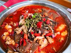 毛血旺-众乐大盘菜